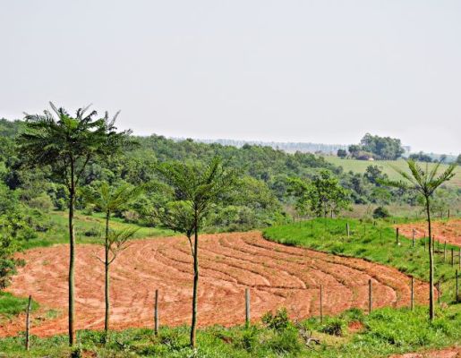 Foto - Turismo Rural